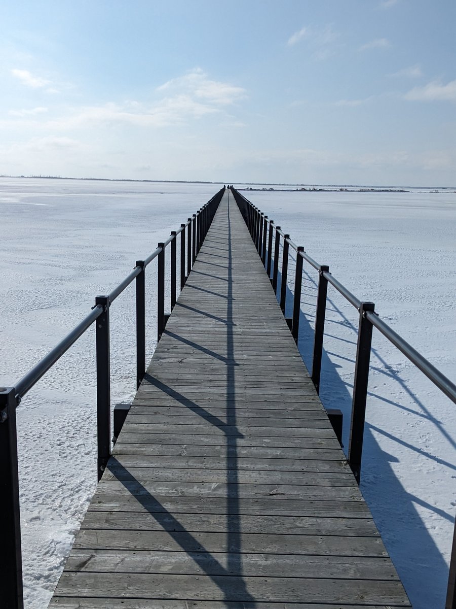 Frozen Lake and Dead Trees, Betsukai Hokkaido photo 5