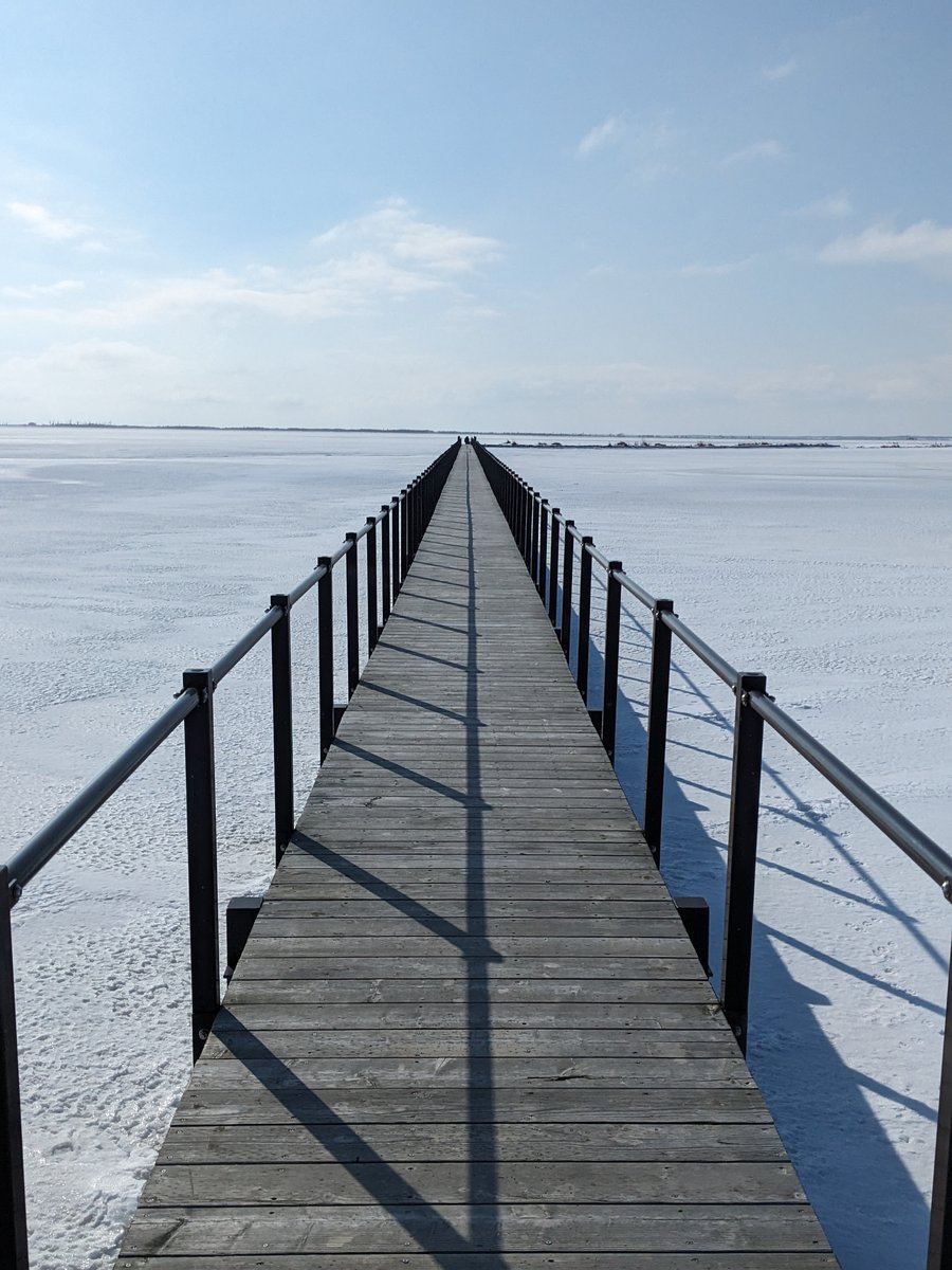 Frozen Wetlands of Betsukai, Hokkaido Winter photo 2