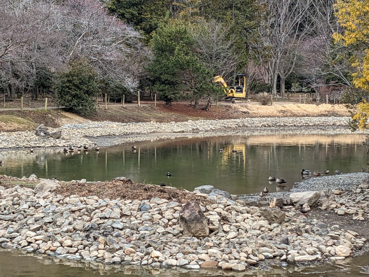 River Restoration Work, Iwaki Fukushima
