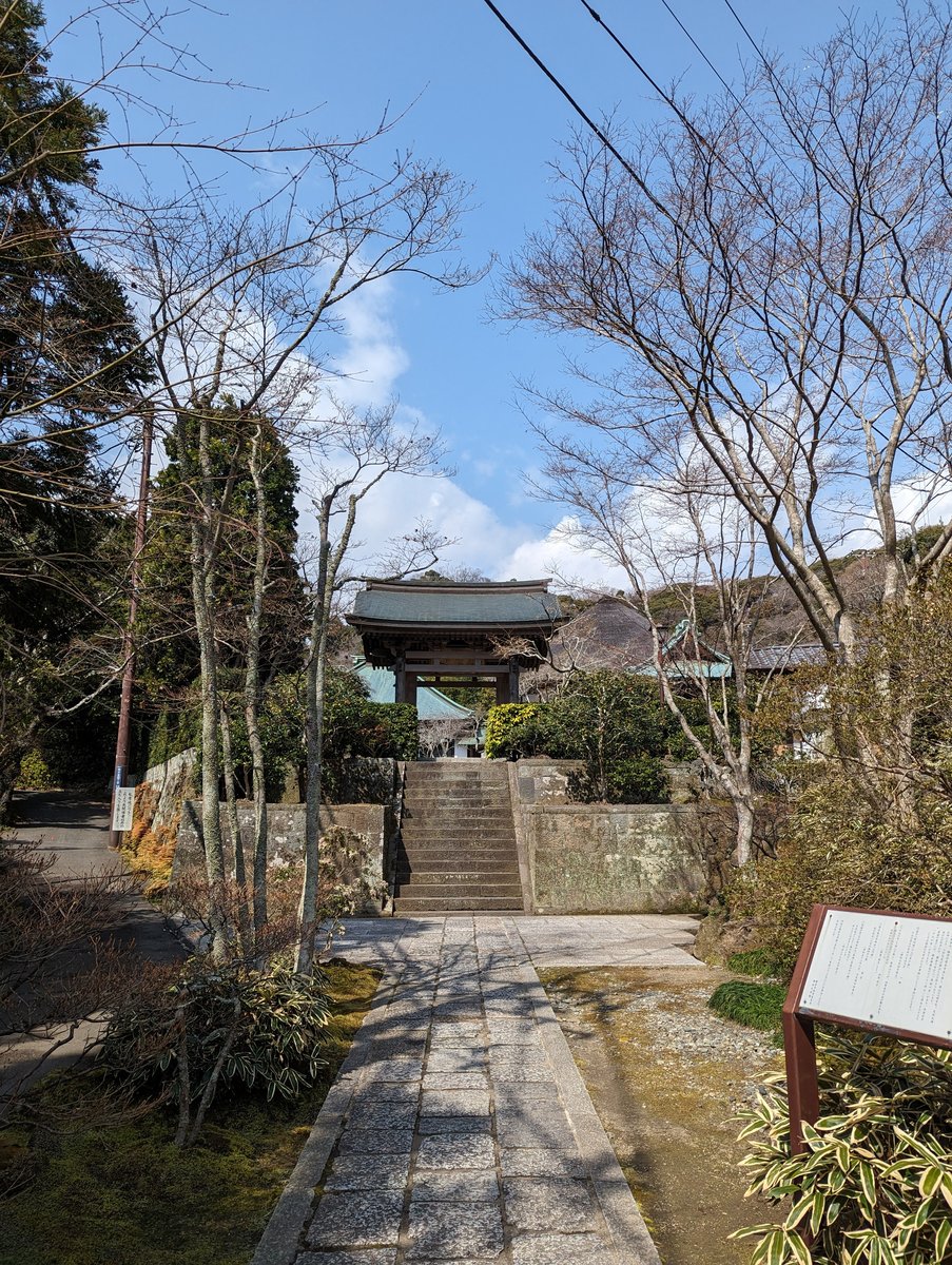 Early Spring Temple Path in Kamakura