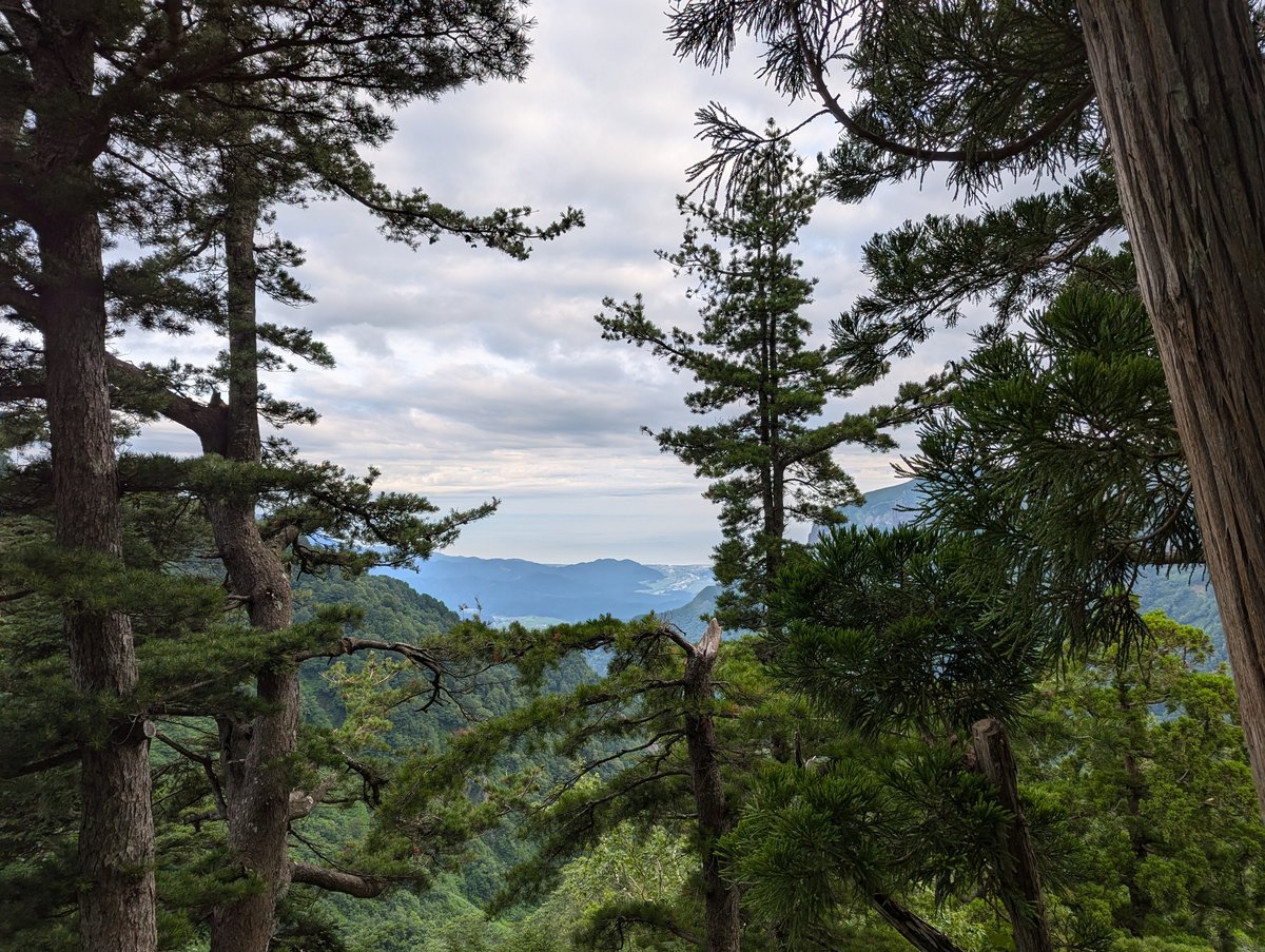 Early Morning Forest View, Itoigawa Niigata