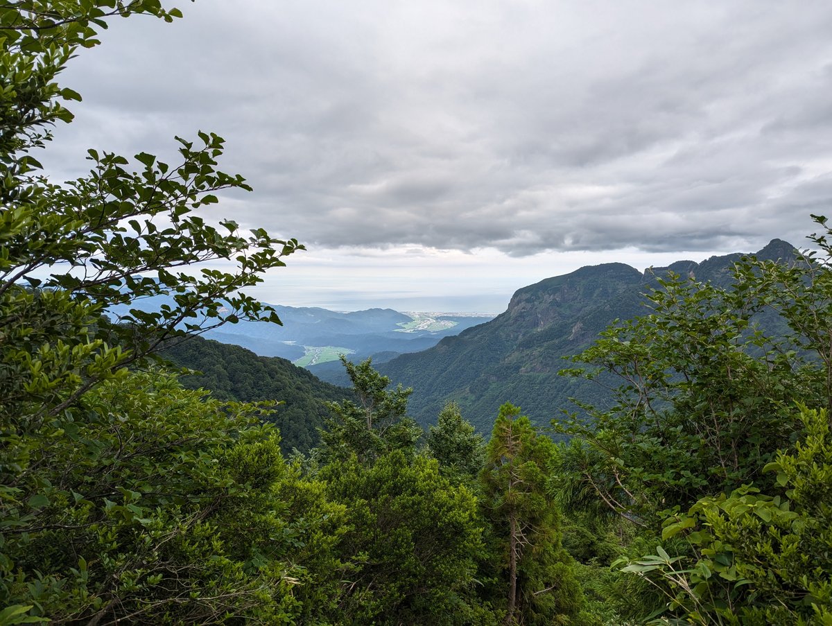 Early Morning Forest View, Itoigawa Niigata photo 2