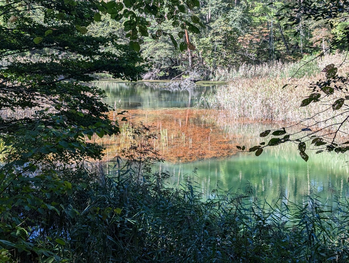 Autumn Lake Walk in Kitashiobara, Fukushima