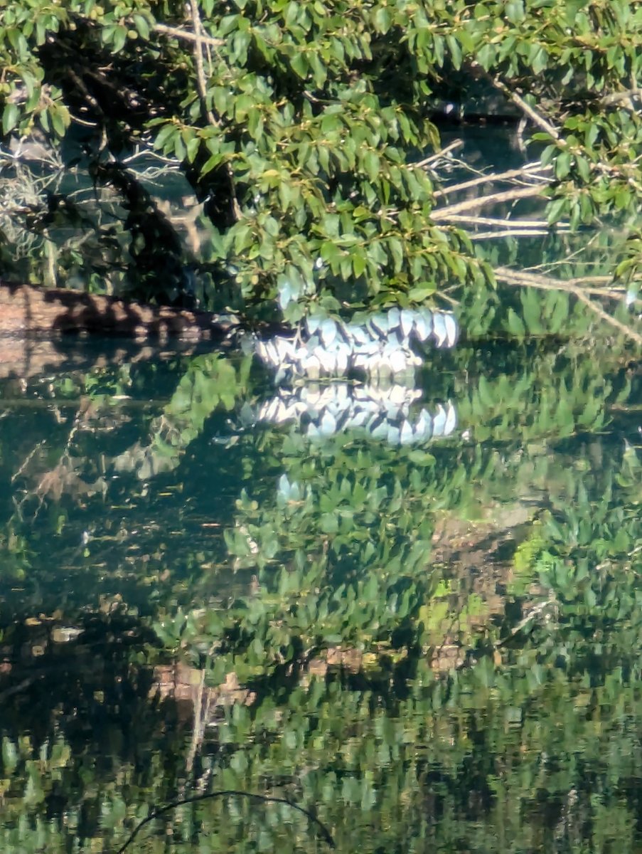 Autumn Forest & Lake Reflections, Kitashiobara Fukushima photo 2