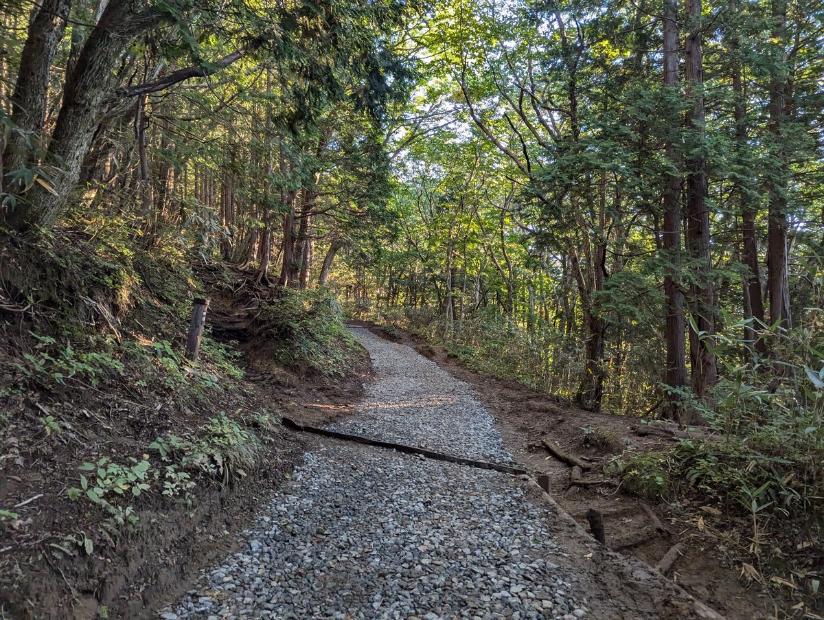 Autumn Forest Canopy, Nihonmatsu Fukushima photo 3