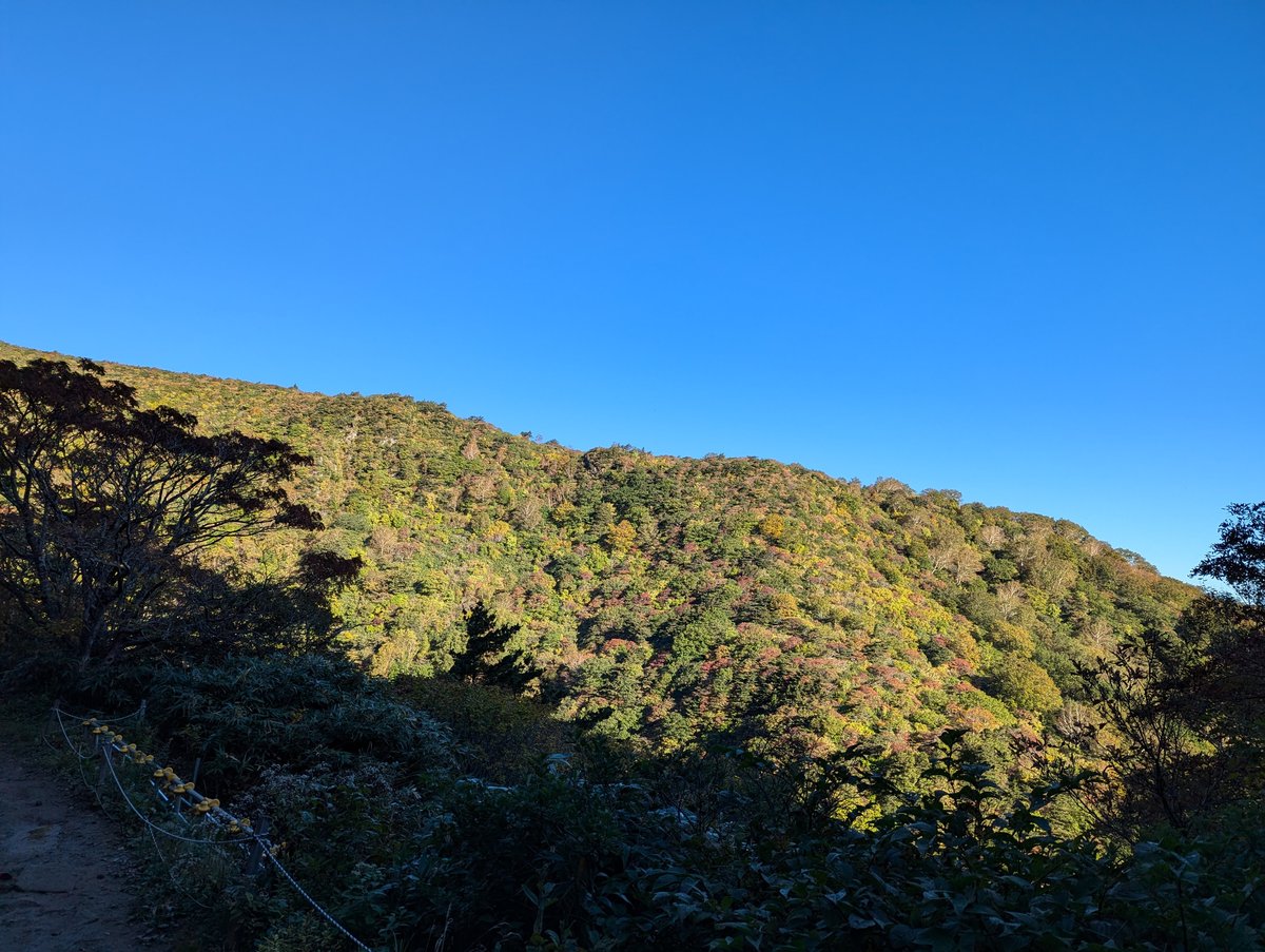 Autumn at Mt. Adatara, Nihonmatsu — Golden Hour photo 2