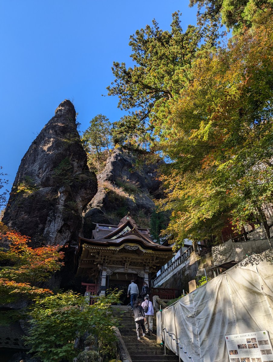 Mt. Haruna Forest Trail, Takasaki — November Moss & Ancient Trees photo 2