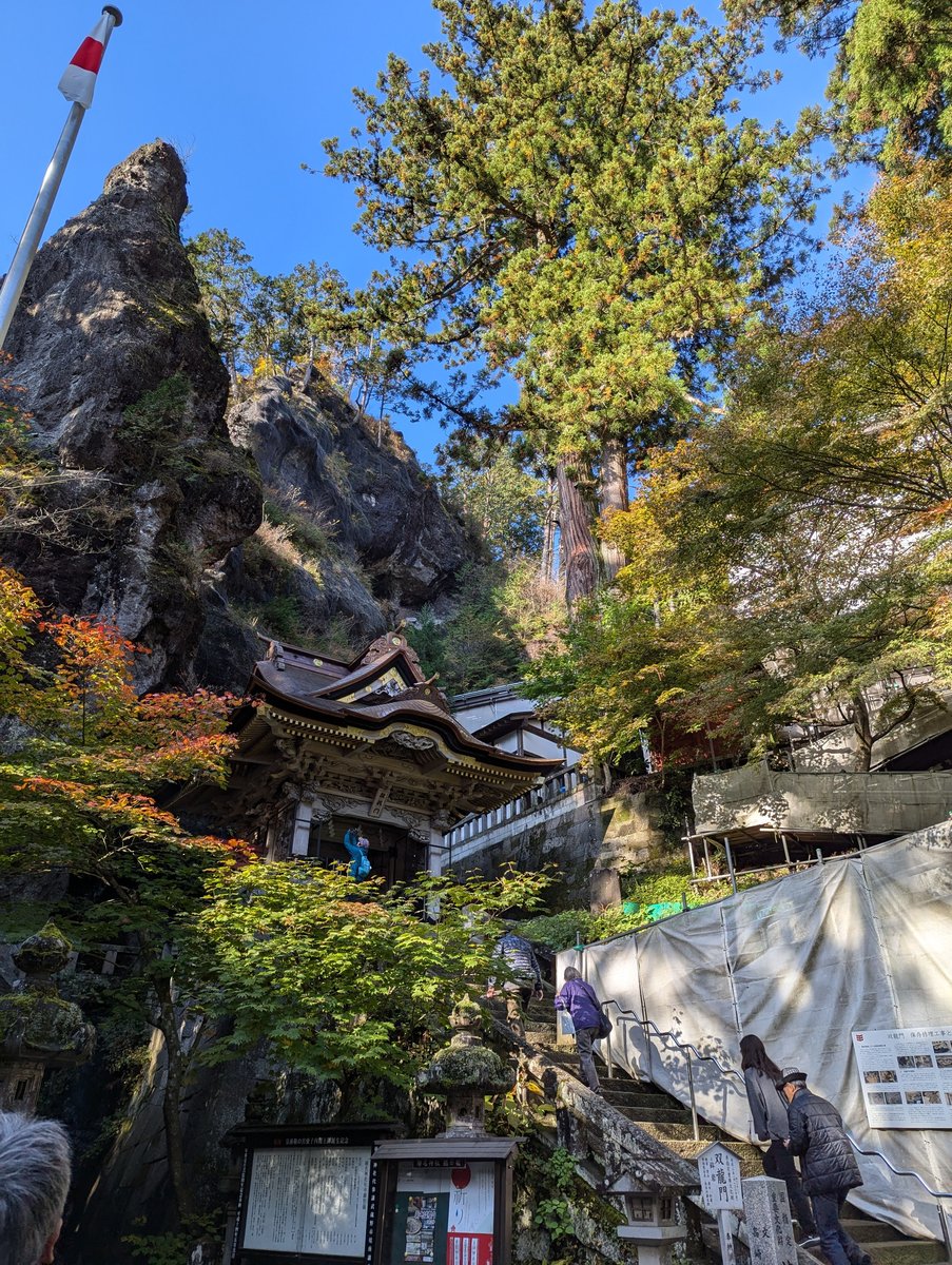 Mt. Haruna Forest Trail, Takasaki — November Moss & Ancient Trees photo 5