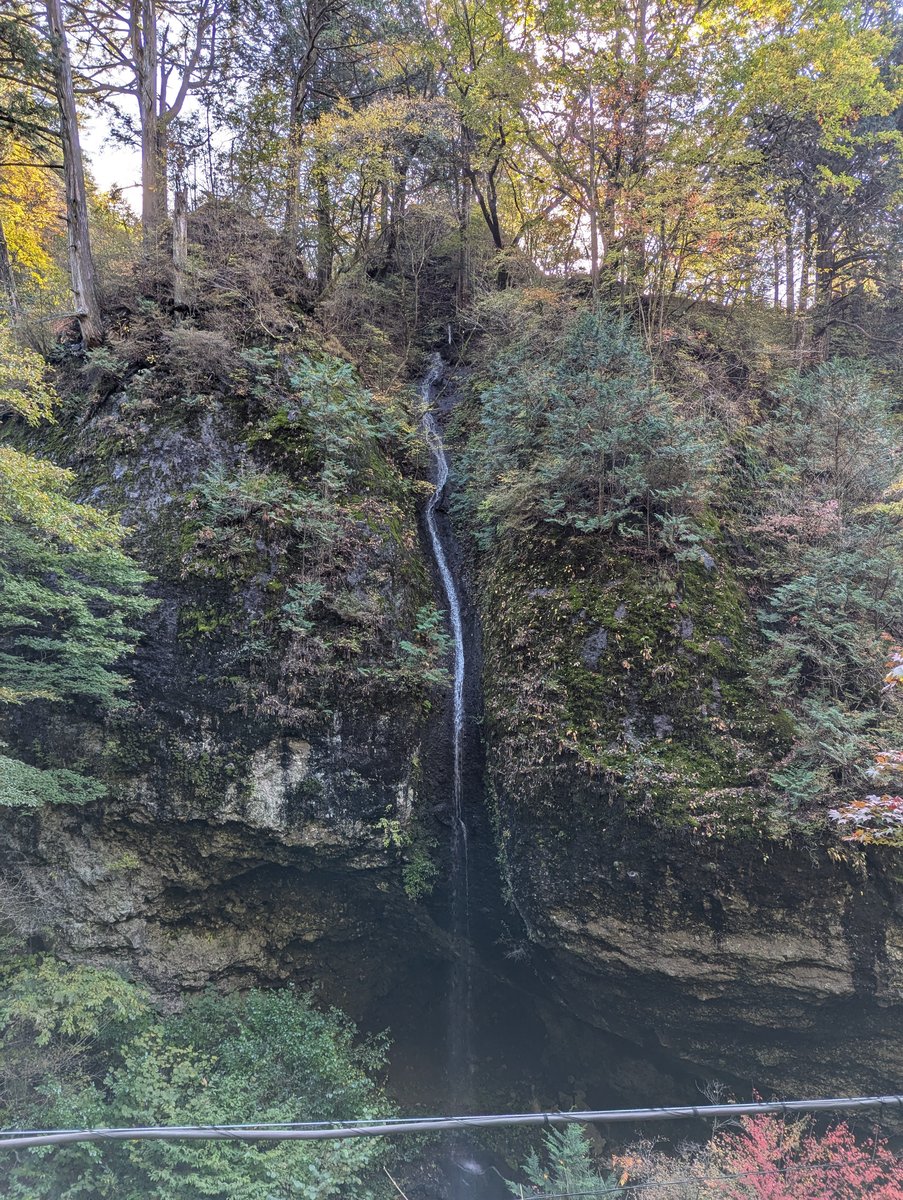 Mt. Haruna Forest Trail, Takasaki — November Moss & Ancient Trees photo 6