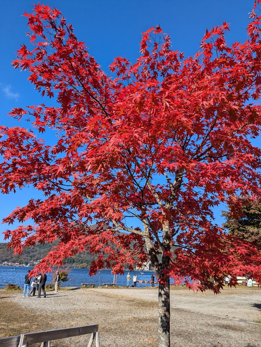 Peak Autumn Colours at Mt. Haruna, Gunma photo 2
