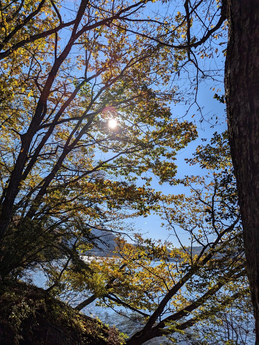 Autumn Canopy at Mt. Haruna, Takasaki, Gunma