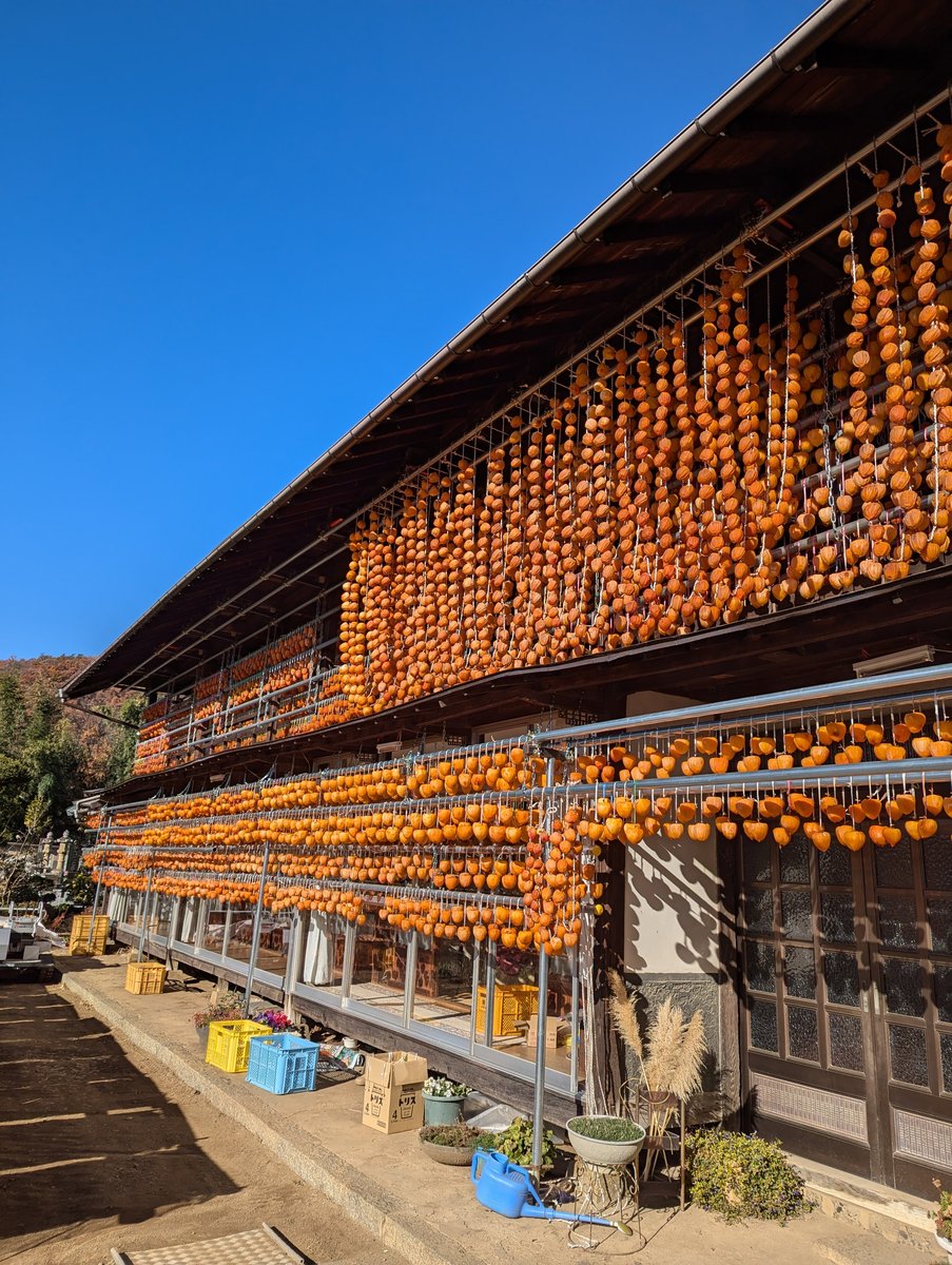 Koshu Persimmon Farm, Yamanashi Prefecture