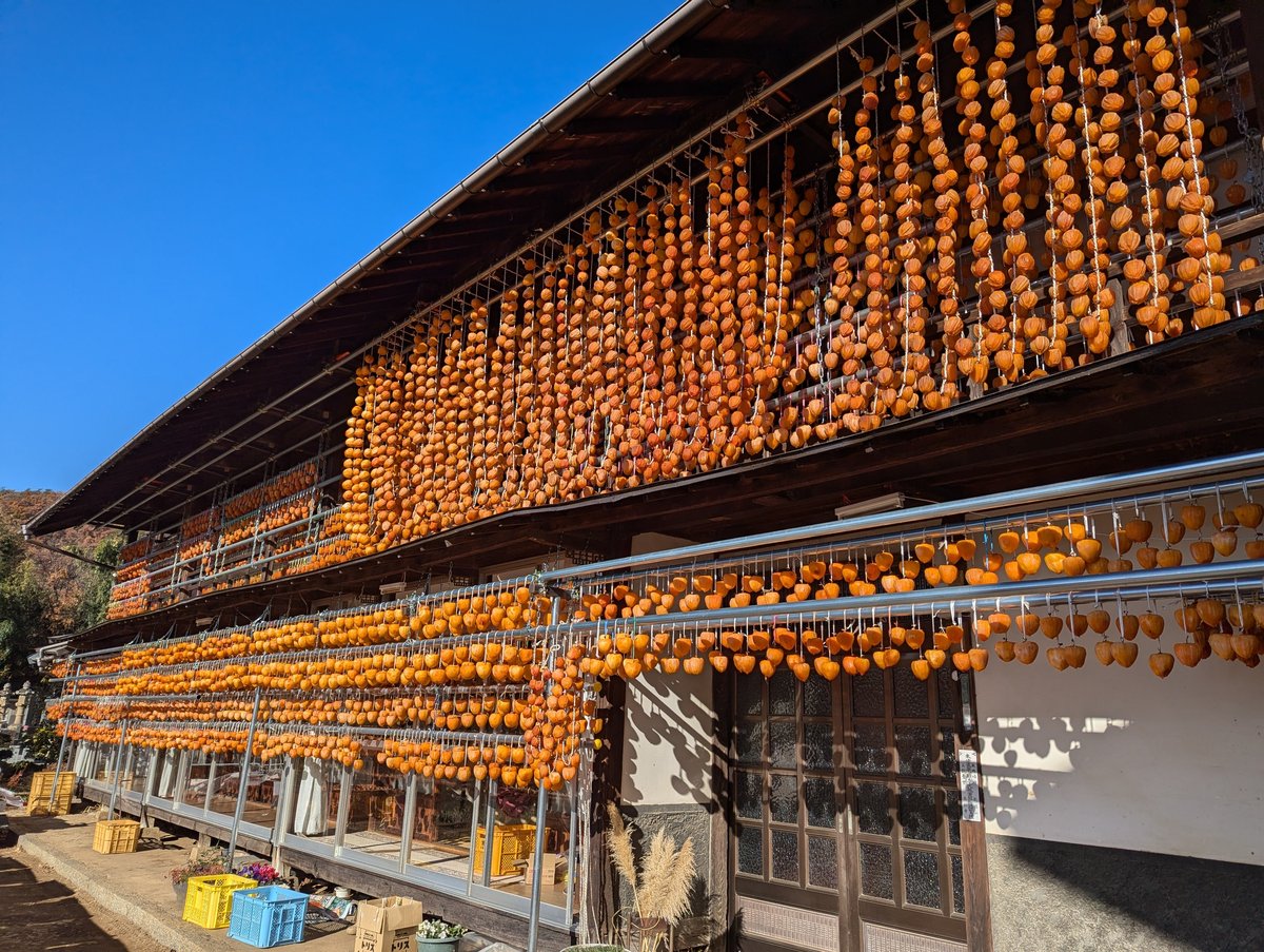 Koshu Persimmon Farm, Yamanashi Prefecture photo 2