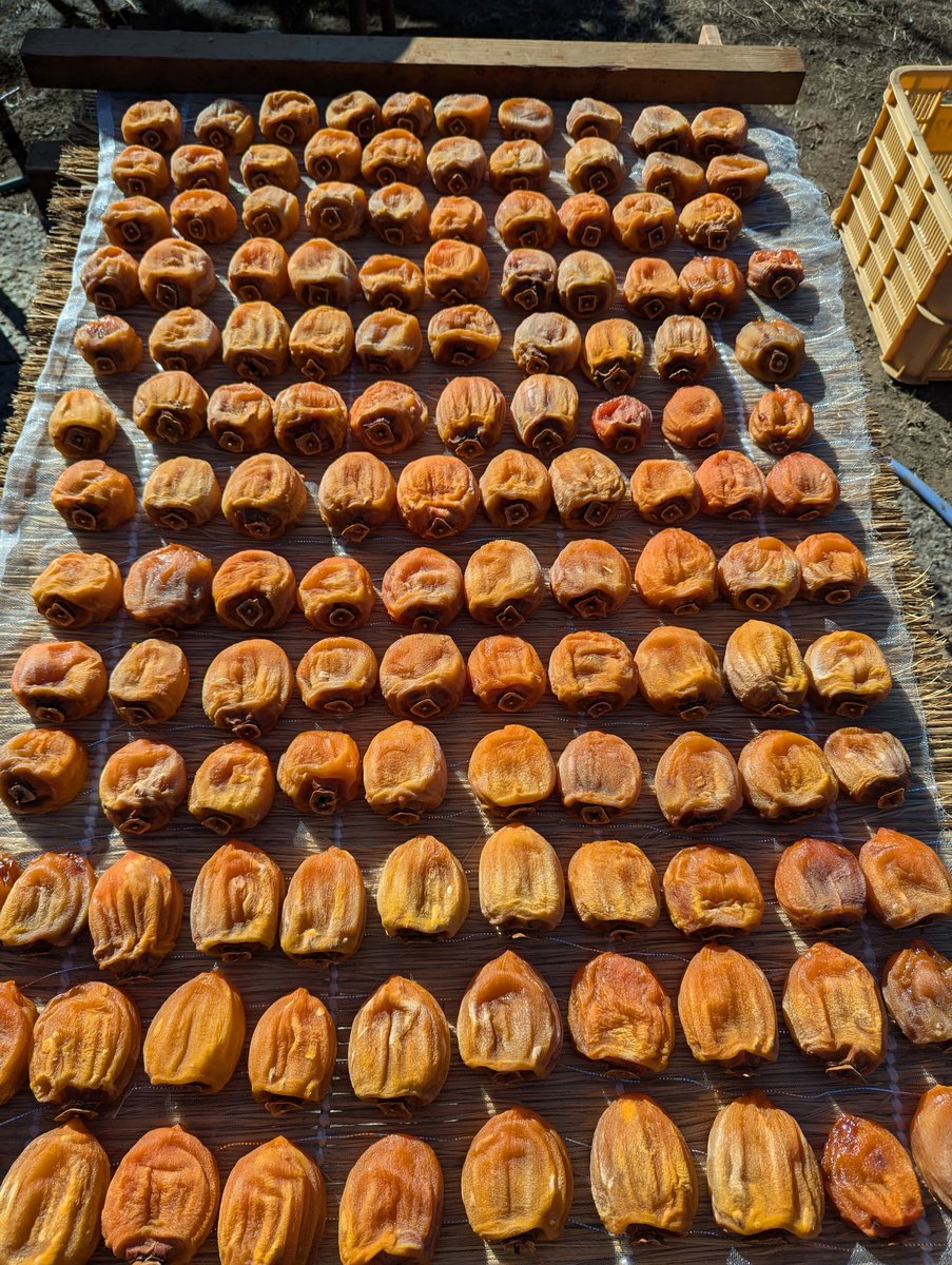 Koshu Persimmon Farm, Yamanashi Prefecture photo 3