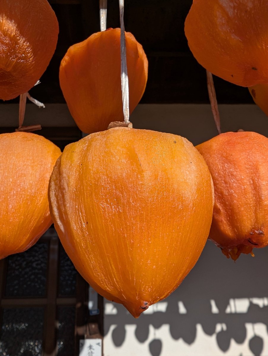 Koshu Persimmon Farm, Yamanashi Prefecture photo 6