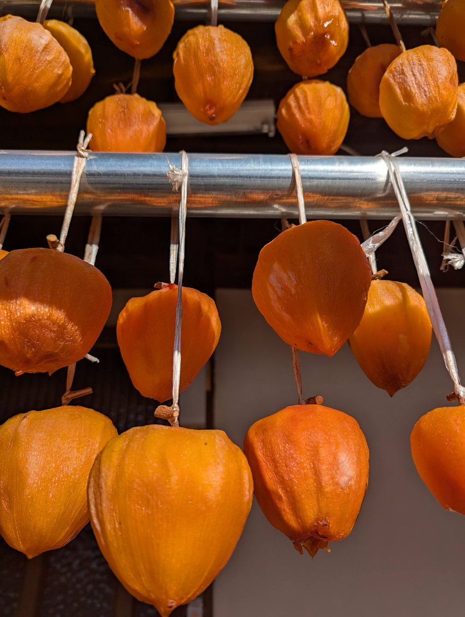 Koshu Persimmon Farm, Yamanashi Prefecture photo 7