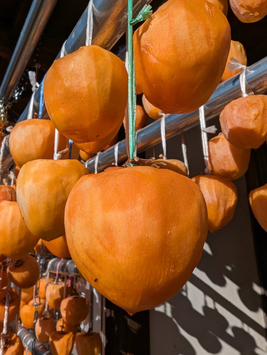 Koshu Persimmon Farm, Yamanashi Prefecture photo 8