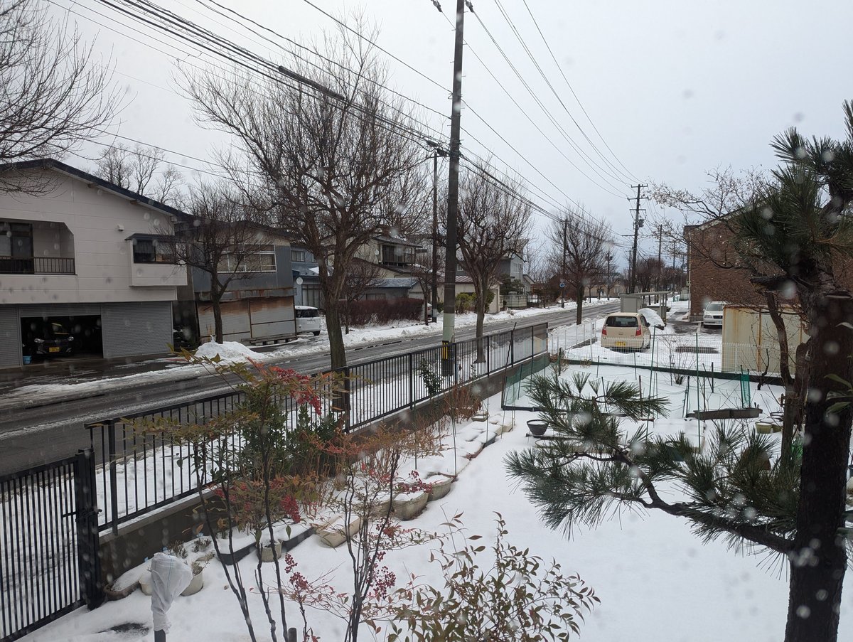 Winter in Aobamachi, Noshiro — Akita's Quiet Snow Village