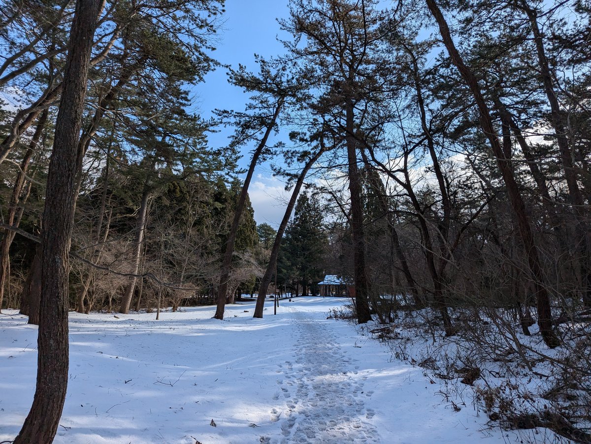 Haginodai Forest in Winter Snow, Noshiro, Akita