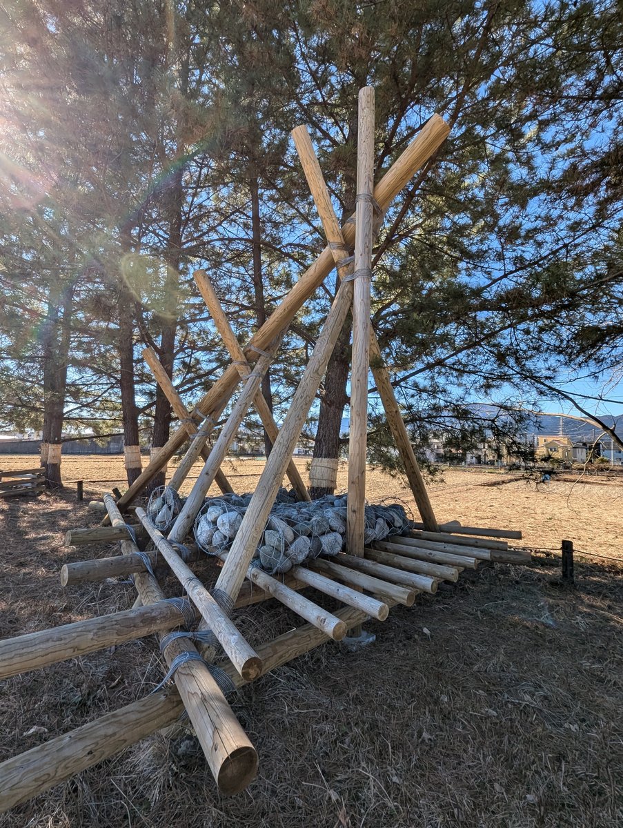 Yoshidajima Pine Grove, Kaisei, Kanagawa photo 2