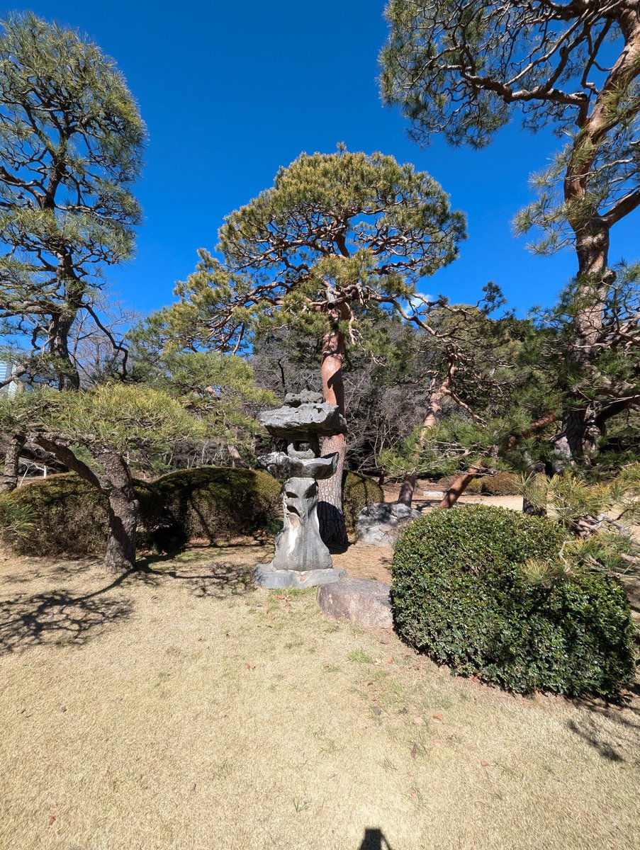 Early Plum Blossoms in Naitomachi, Shinjuku photo 4