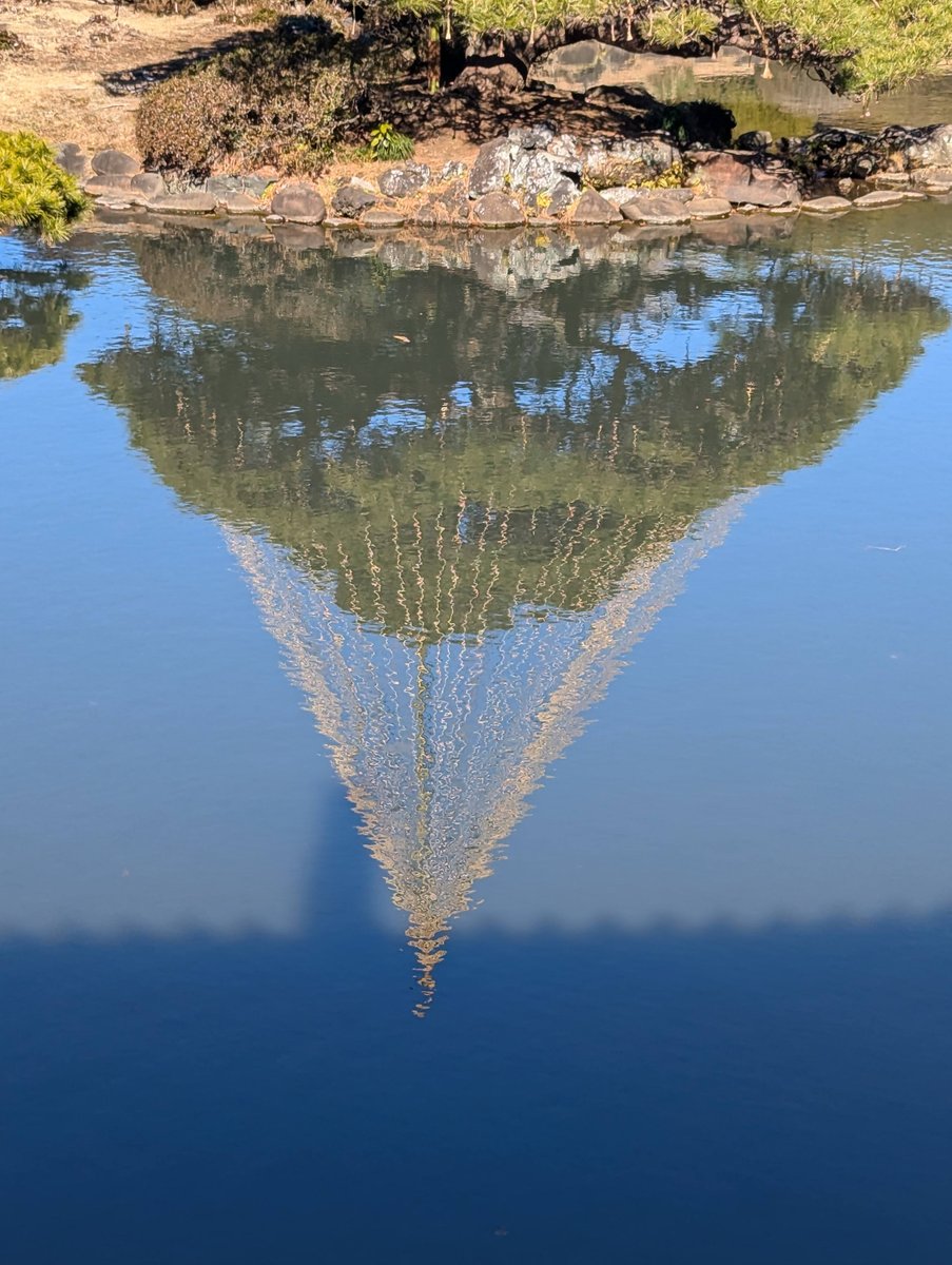 Mirror Reflections at Naitomachi, Shinjuku