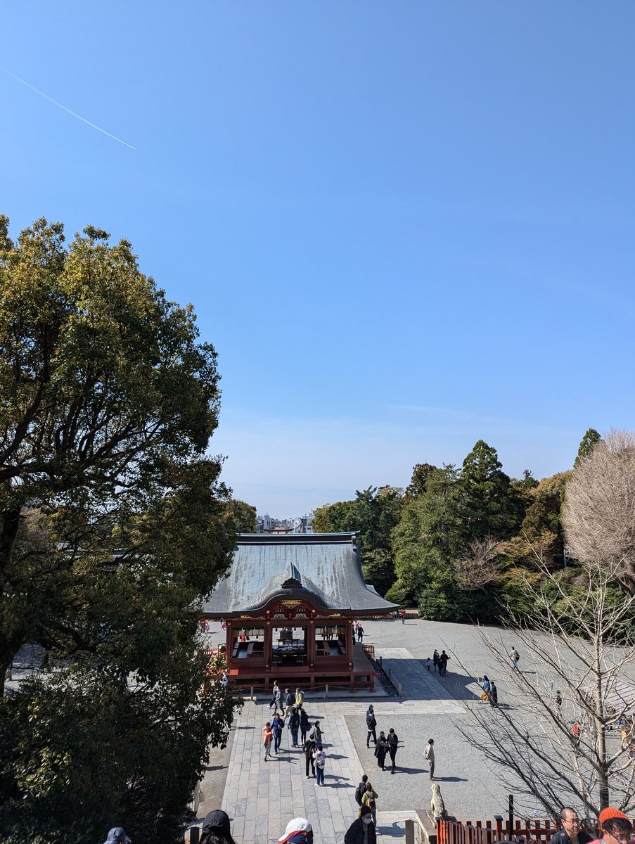 Tsurugaoka Hachimangu Shrine, Kamakura — Spring Clarity