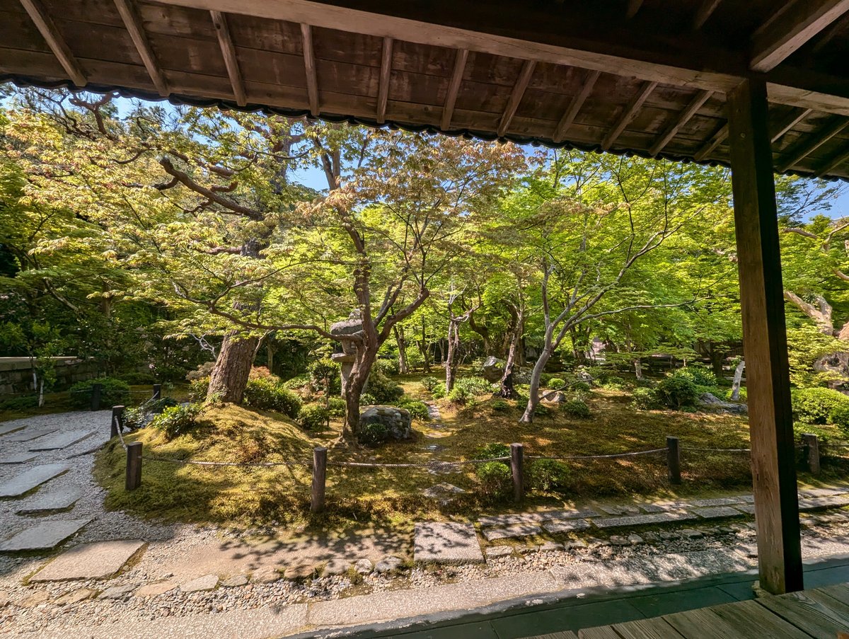 Ichijoji Garden in Kyoto, April Light Through Ancient Trees