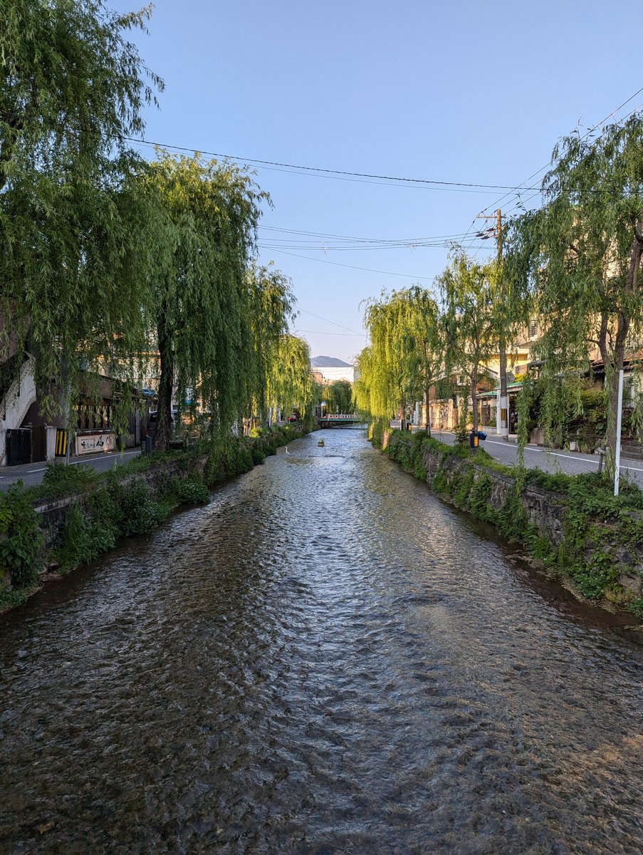 Inaricho Canal, Kyoto — Weeping Willows in April