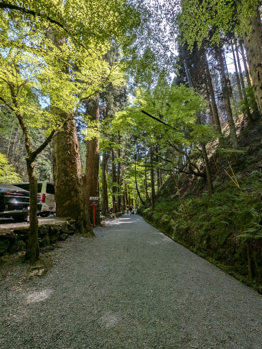 Forest Path in Kurama Kibune-chō, Kyoto