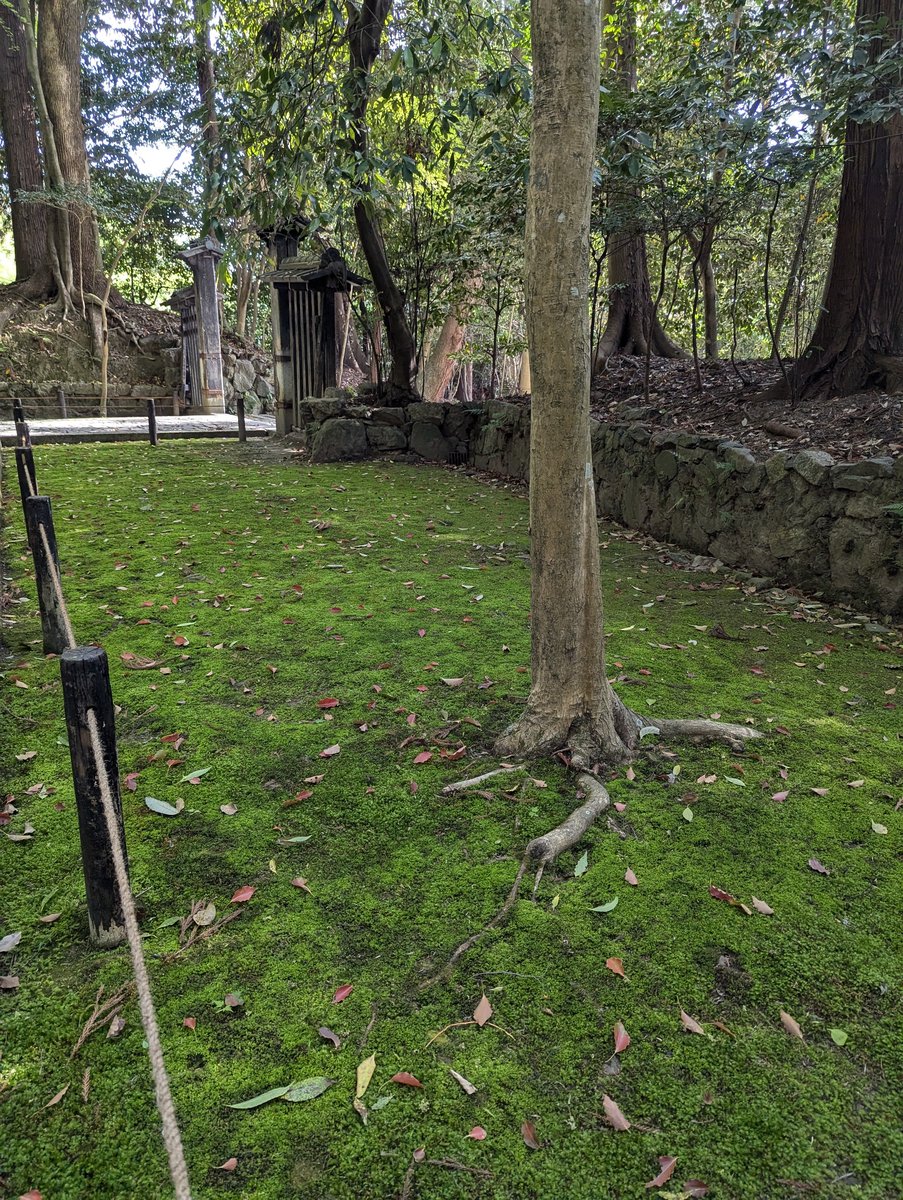 Shishigatani Temple Forest Gate, Kyoto photo 2