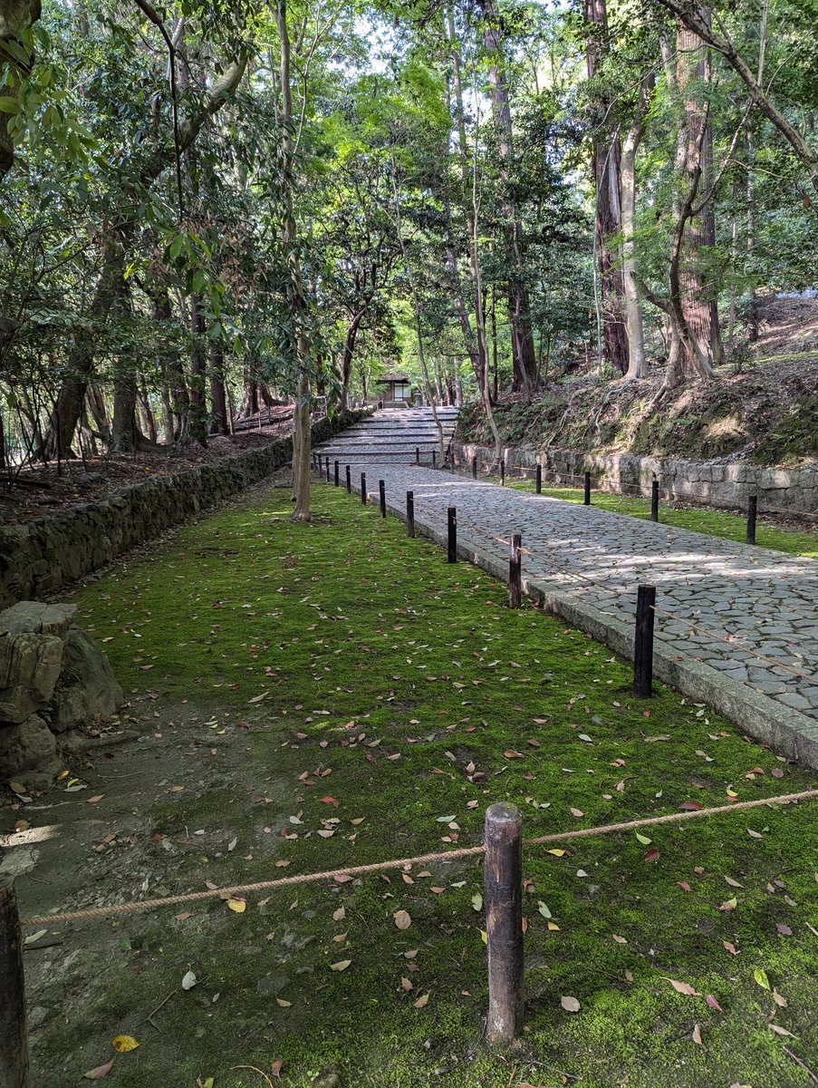 Shishigatani Temple Forest Gate, Kyoto photo 3