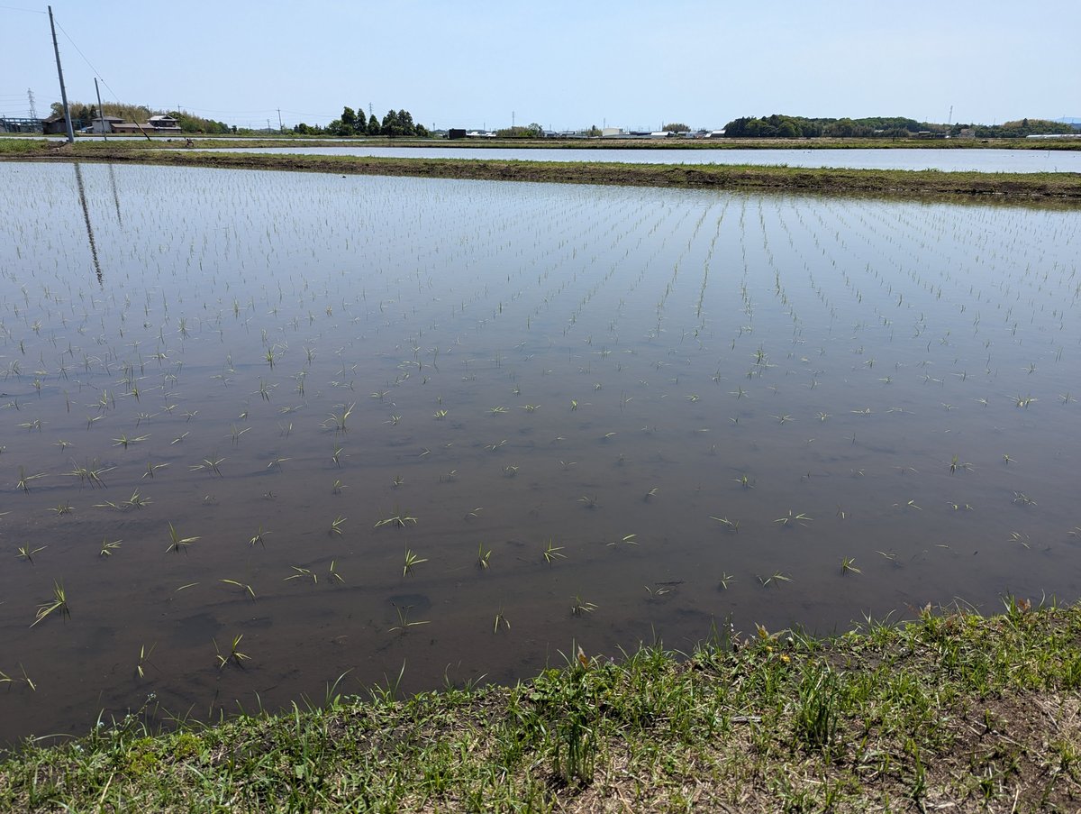 Rural Road Through Agatagaoka, Yokkaichi, Mie photo 3