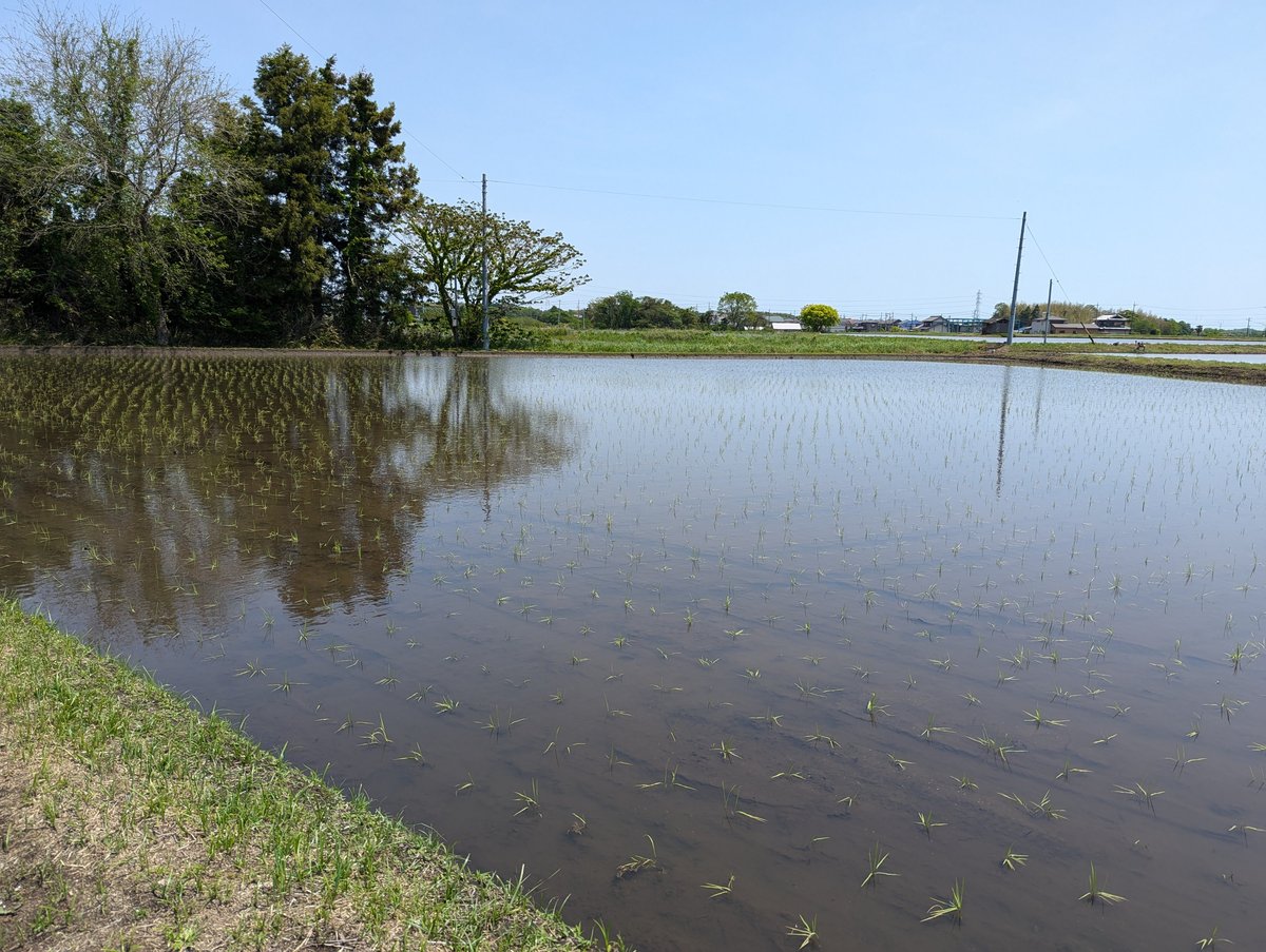 Rural Road Through Agatagaoka, Yokkaichi, Mie photo 4