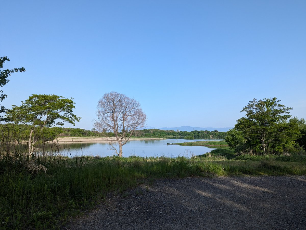 Kiso River Wetlands in May, Aichi
