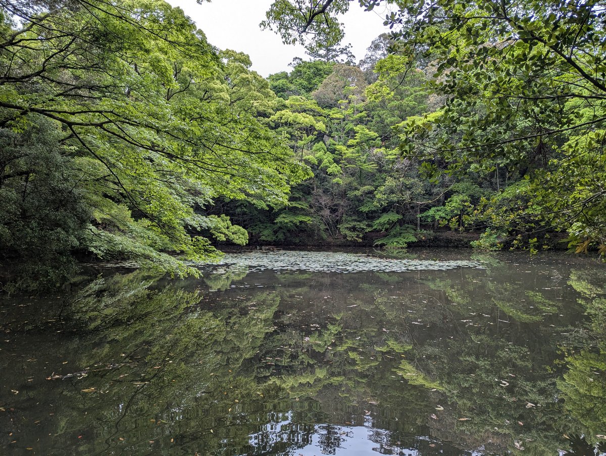Sacred River Walk at Ise Jingū, Mie — May's Emerald Forest photo 5