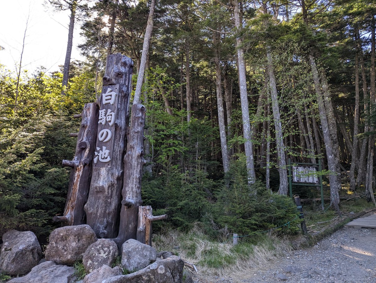 Early Morning Hike in Sakuho, with Mt. Yatsugatake in View photo 2