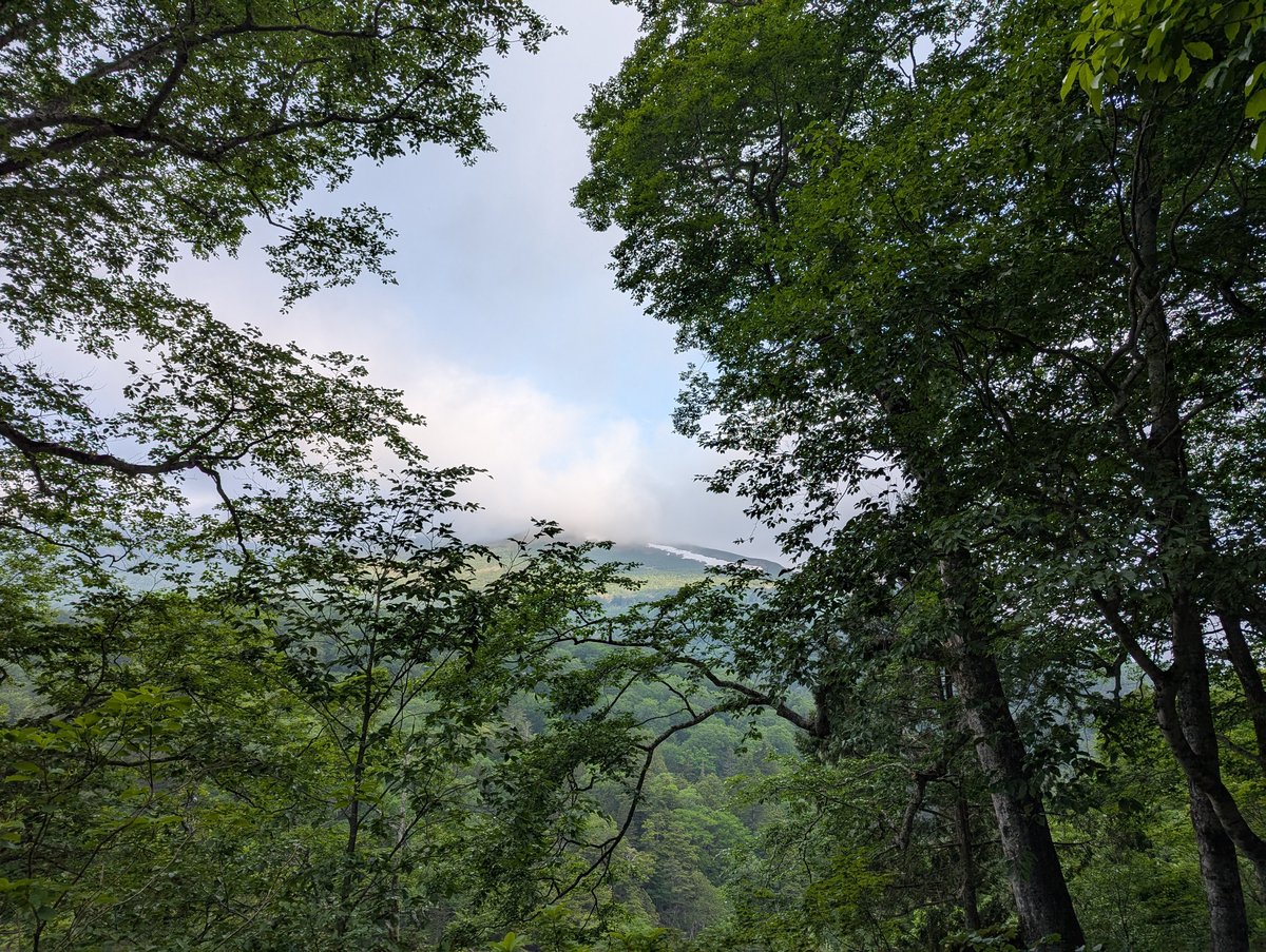 Oze National Park at Dawn, Gunma