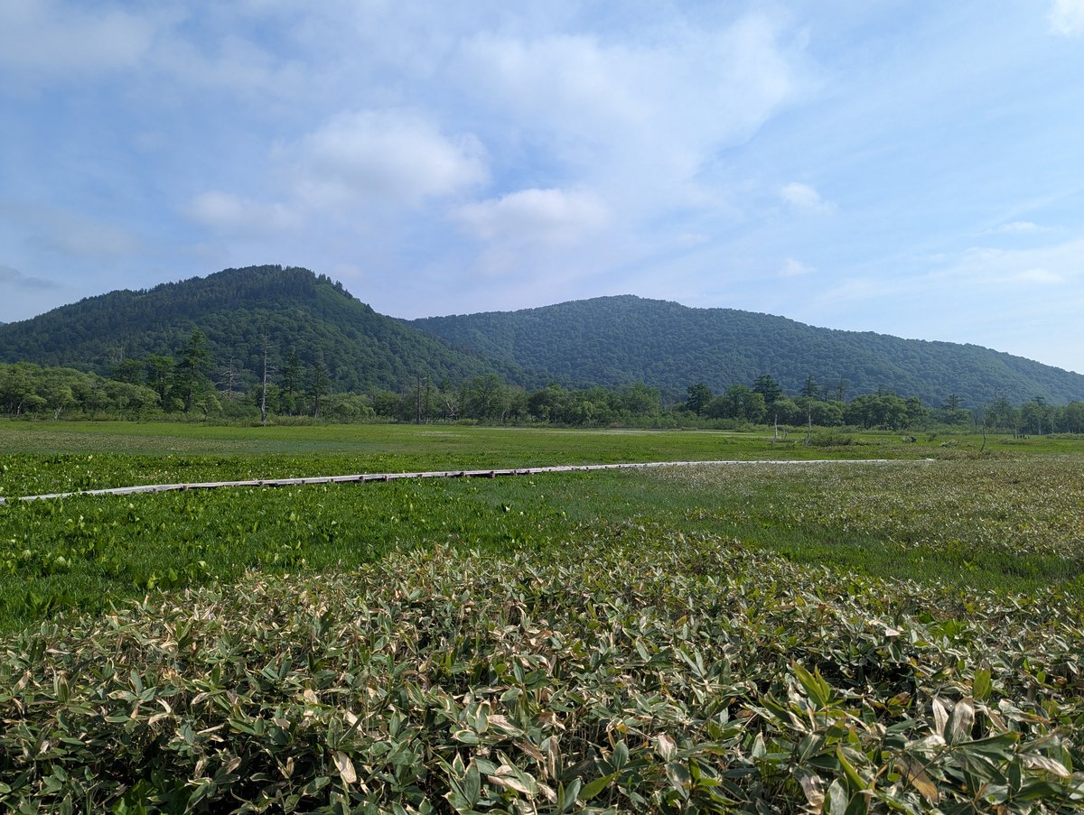 Early Morning Farm Fields, Oze Gateway Katashina