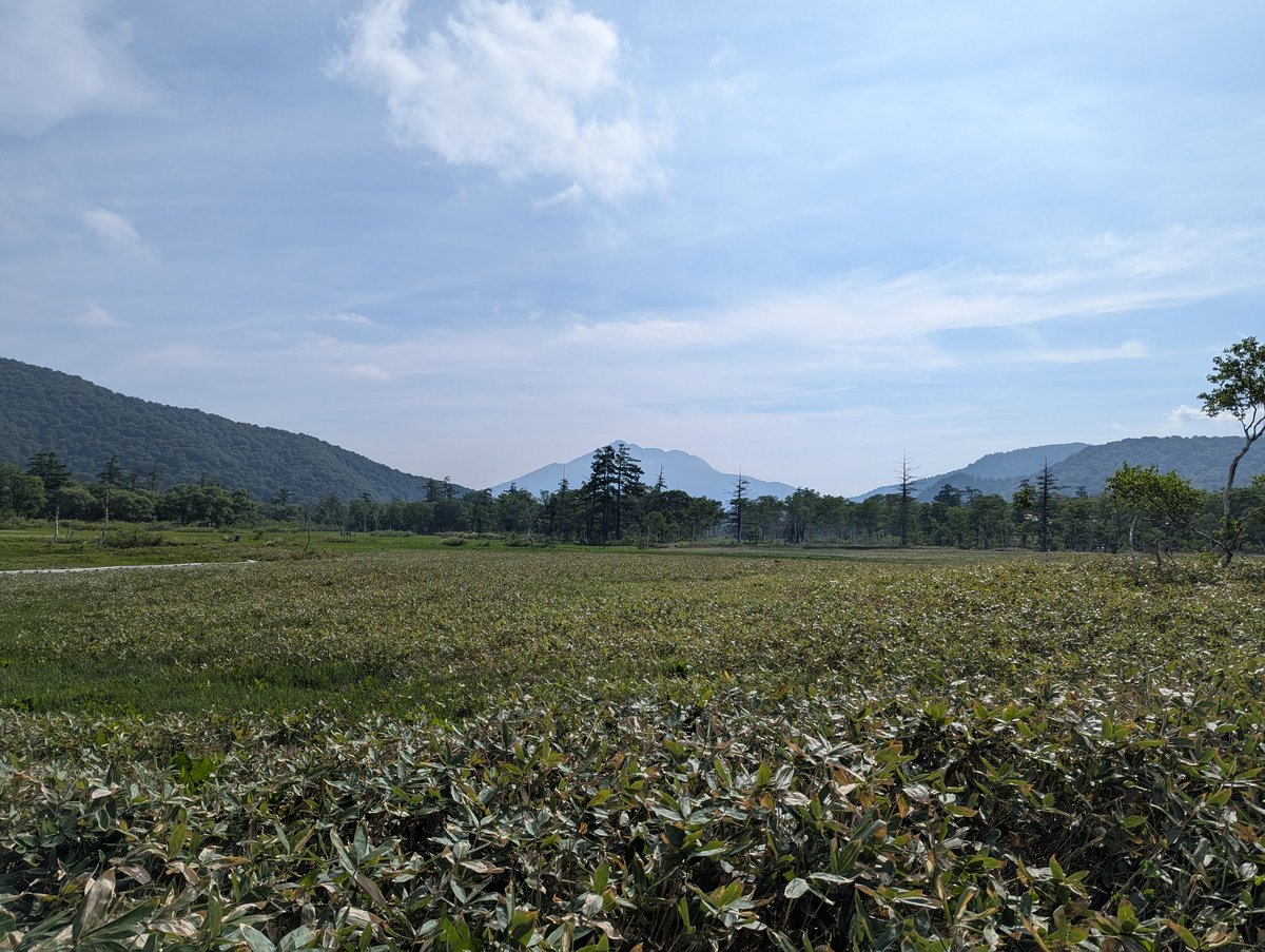 Early Morning Farm Fields, Oze Gateway Katashina photo 2
