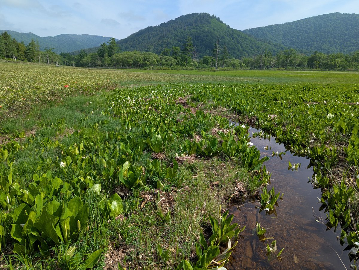 Early Morning Farm Fields, Oze Gateway Katashina photo 3