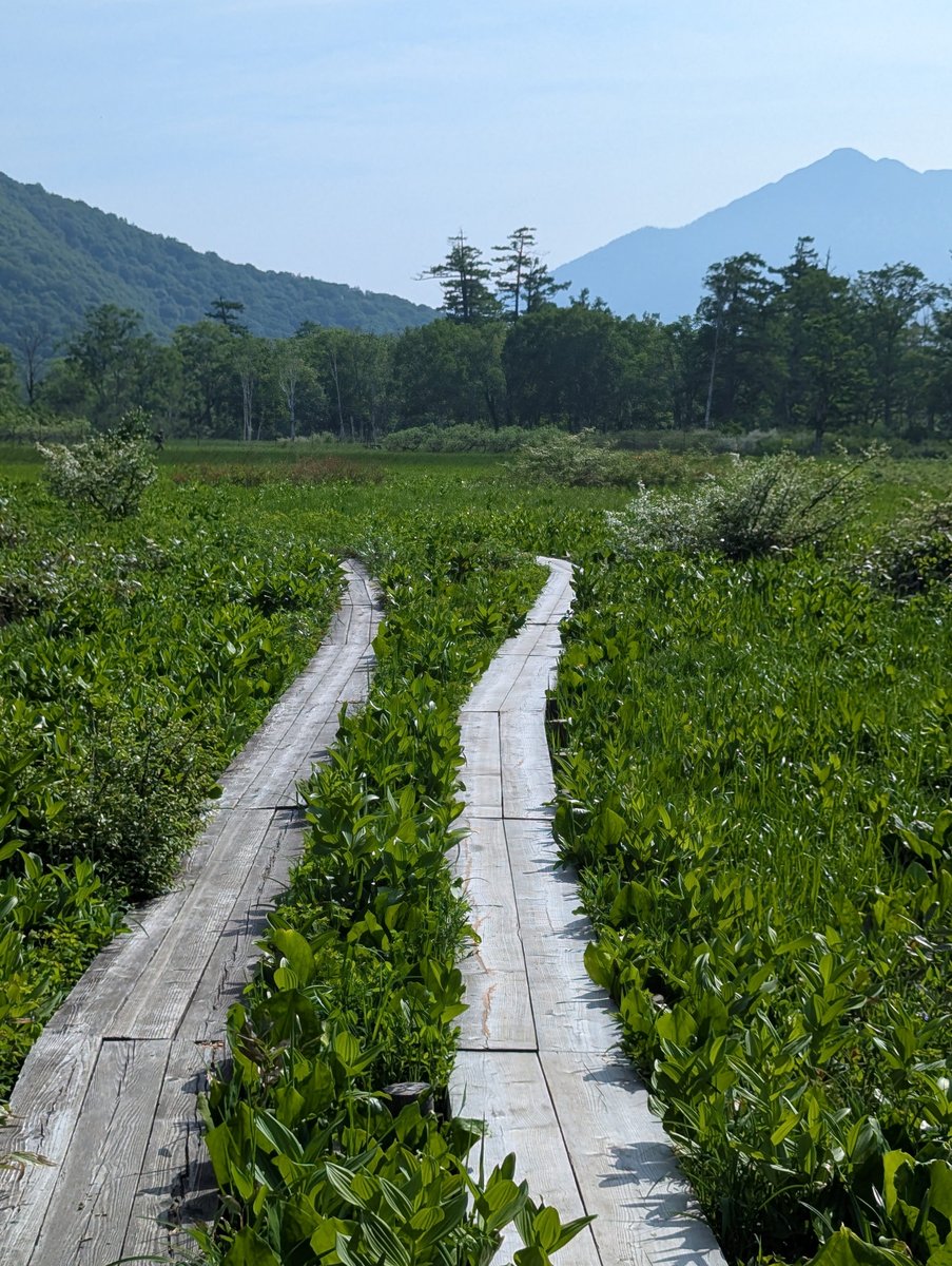 Early Morning Farm Fields, Oze Gateway Katashina photo 7