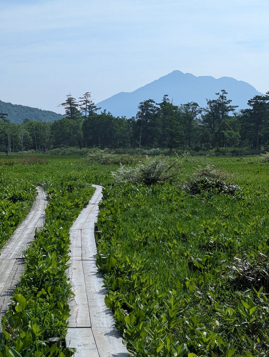 Early Morning Farm Fields, Oze Gateway Katashina photo 8