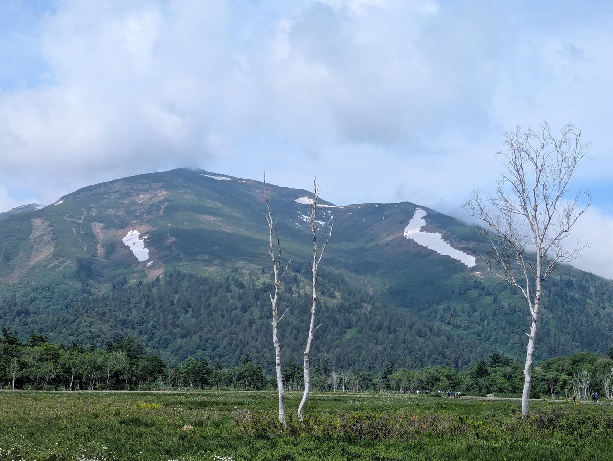 Oze Wetland Flowers, Katashina – Early Summer Bloom photo 2