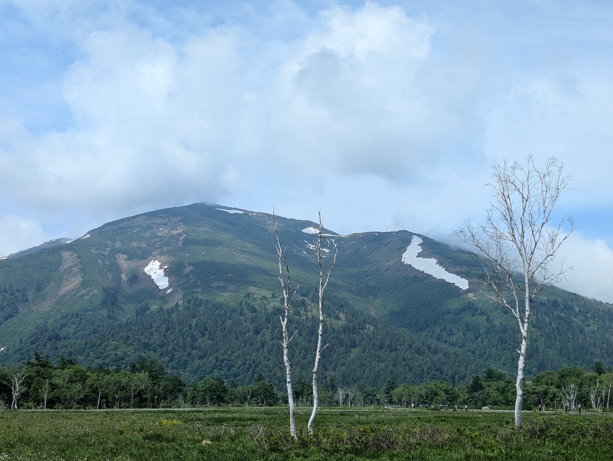 Oze Wetland Flowers, Katashina – Early Summer Bloom photo 4