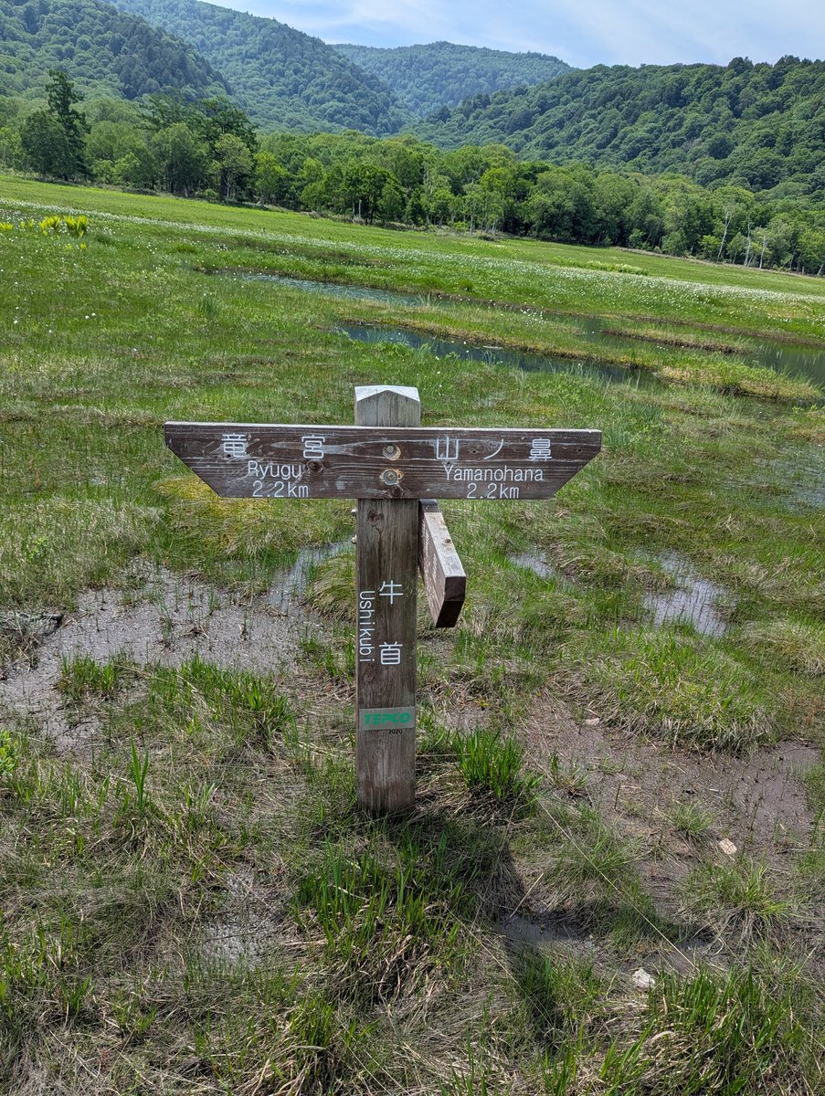 Oze Marshland Trail, Katashina, Gunma