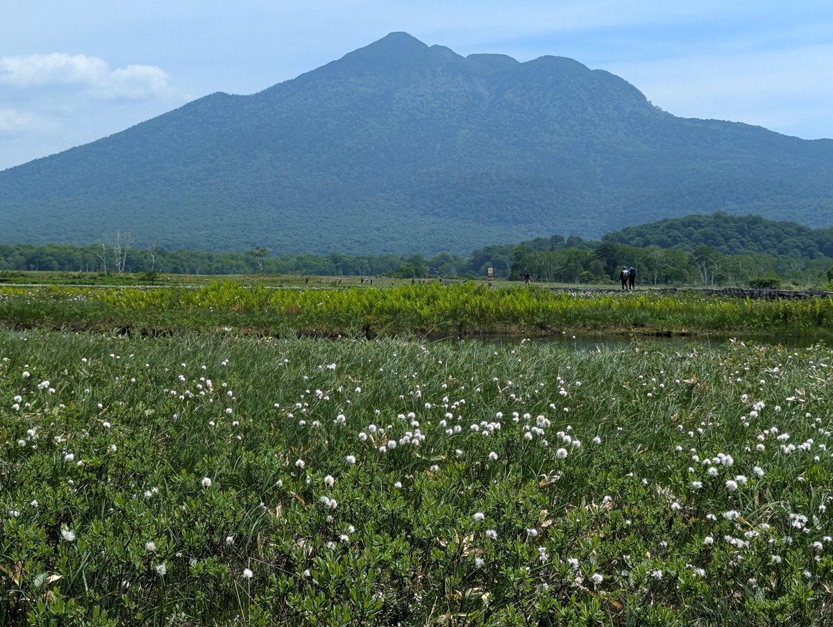 Oze Marshland in Peak Bloom, Gunma