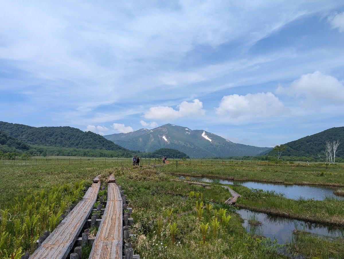 Oze Marshland at Peak Summer, Gunma