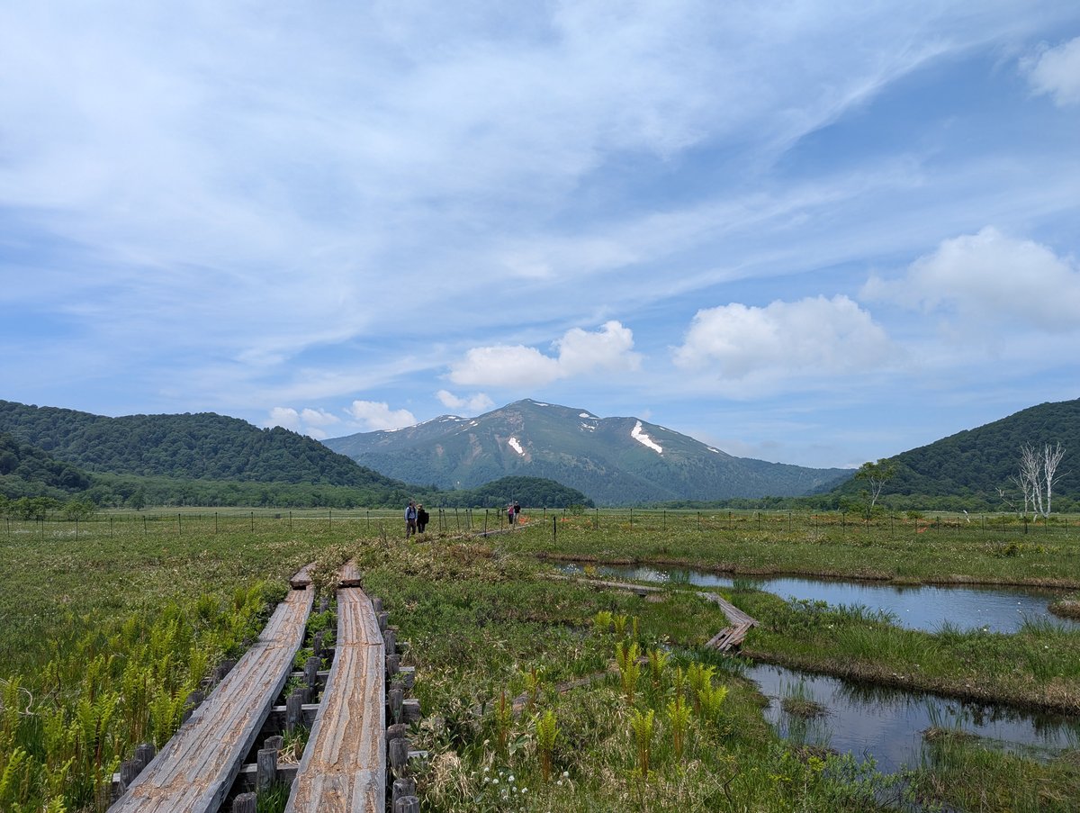 Oze Marshland at Peak Summer, Gunma photo 2