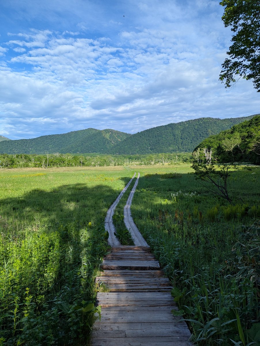 Oze Wetland Boardwalk at Dawn, Niigata